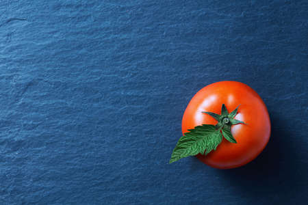 fresh red tomato with green leaves on blue backgroundの写真素材