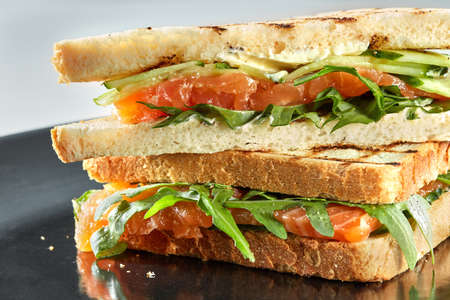 Smoked Salmon Sandwich with vegetables on the plateの写真素材