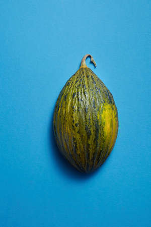 piece of green melon on blue background isolatedの写真素材