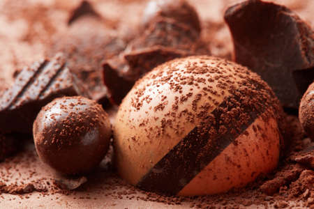 delicious chocolate candy in cocoa powder close-up