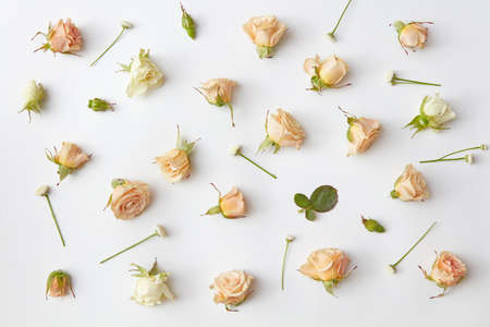 Assorted roses heads.の写真素材