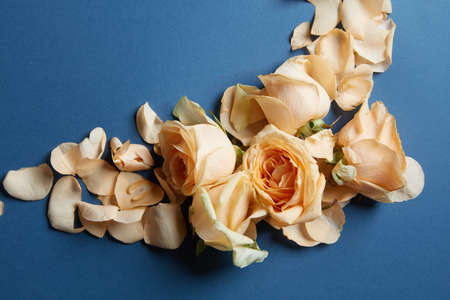 Frame of flowers