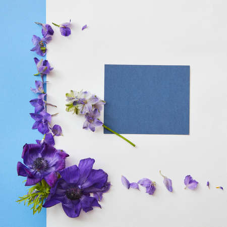 Frame of spring flowersの写真素材