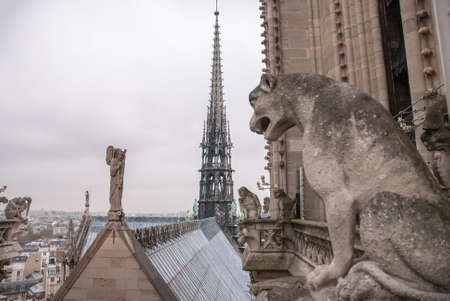Chimera of the Cathedral Notre Dame de Parisの写真素材