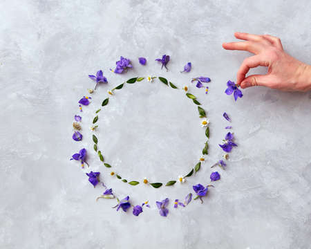 frame of flowersの写真素材