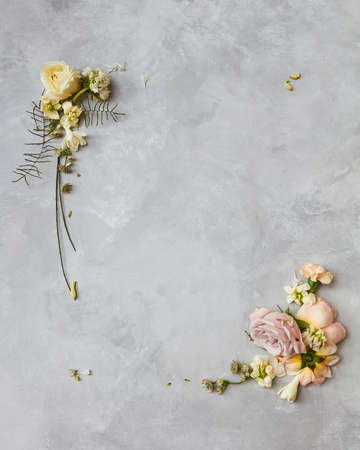 floral frame with rosesの写真素材