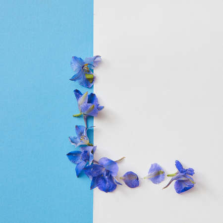 frame of flowersの写真素材