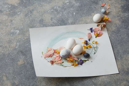 eggs on a paperの写真素材