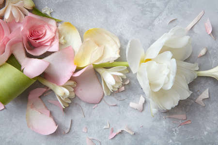 Composition of flowers on grey backgroundの写真素材
