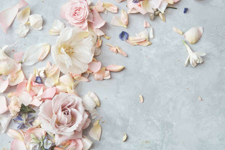 Composition of flowers on grey backgroundの写真素材