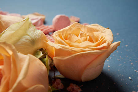 Yellow roses for decorationの写真素材