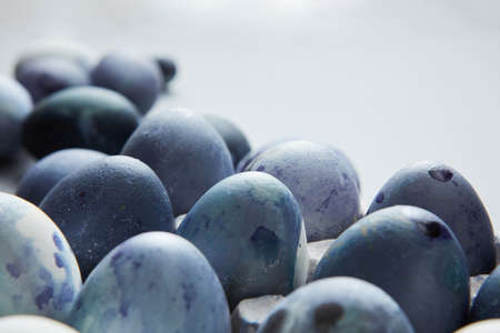 Close up view of blue easter eggsの写真素材