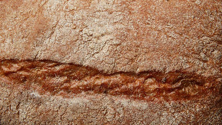 Background of bread texture