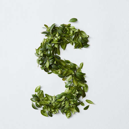 Alphabet letters from leavesの写真素材