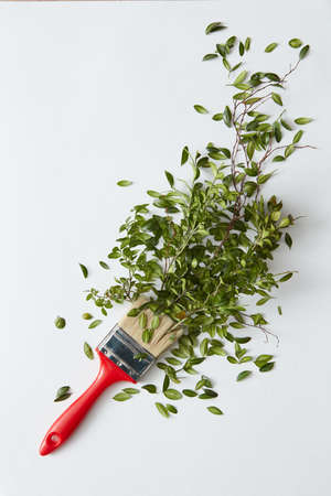 Brush with green leavesの写真素材