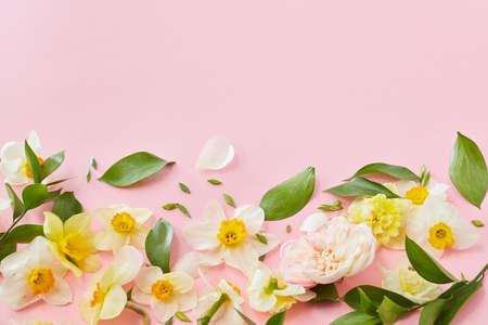White flowers covering backgroundの写真素材