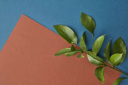 A sheet of paper under the text on a dark blue background decorated with a branch of green leaves....
