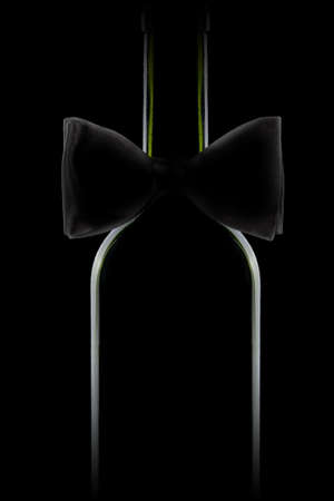 silhouette of an elegant wine bottle decorated with a bow on a black background, isolatedの写真素材