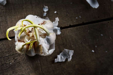 sprouting garlic with young sprouts on a wooden old table flat layの写真素材