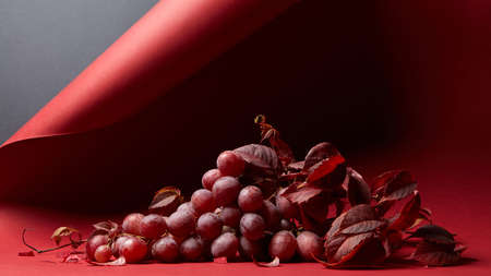 fresh ripe red grapes with leaves on a red backgroundの写真素材