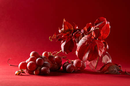 bunch of ripe red grapesの写真素材
