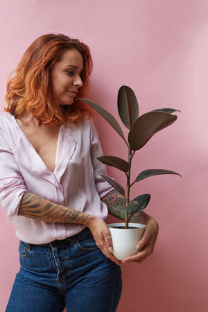 girl holding a vase with a ficusの写真素材