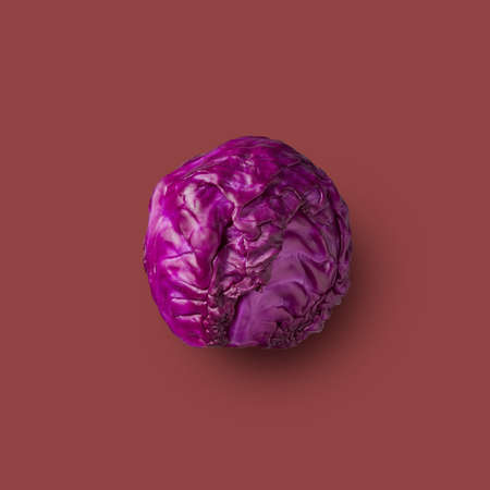Red cabbage isolated on a blue backgroundの写真素材