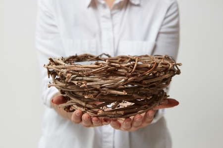 Nest in the hands of a girl in a white shirt on a light backgroundの写真素材