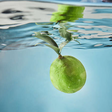 Fresh lime dropped into water with splash isolated on blue