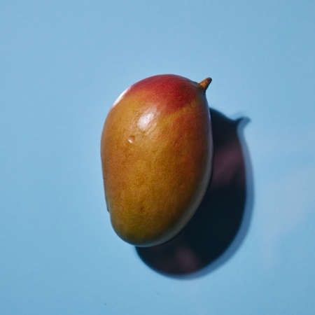 mango fruit isolated on blue backgroundの写真素材
