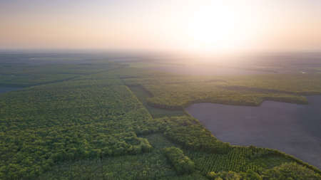 Panoramic aerial view of a lake among the forests on the sunset, top viewの写真素材