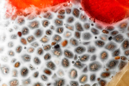 Macro photo of chia pudding with yogurt and strawberryの写真素材