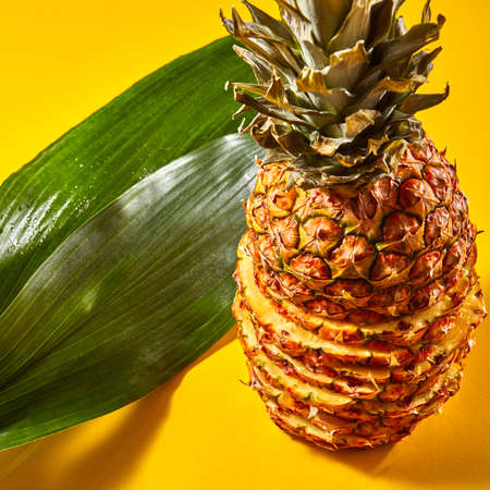 Sliced pineapple and green leaf on an orange background close-upの写真素材