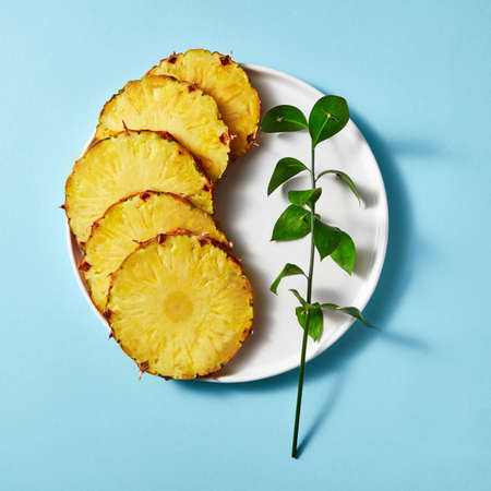 pieces of ripe pineapple and a green twig in a plate on a blue paper background,の写真素材