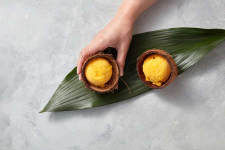 A girls hand holds a coconut shell with a mango sorbet on a green leaf on a gray concrete background. Top viewの写真素材