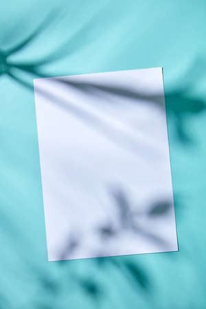 White paper and space for text on blue paper background with leaves shadows