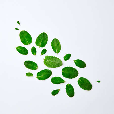 Beautiful pattern of green mint petals on a white background. Flat lay