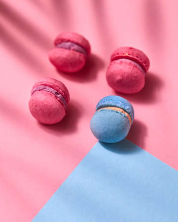 Beautiful composition of blue and pink macaroons with shadows on a blue pink cardboard backgroundの写真素材