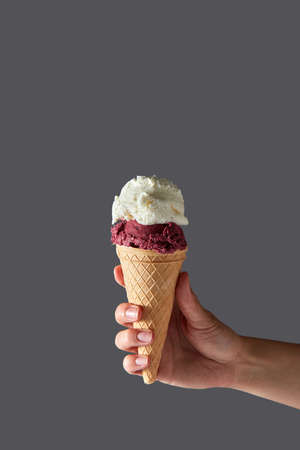 A red fruit ball and a vanilla white ice cream ball in a waffle cone held by a woman's hand against a gray background. Summer concept with copy space.の写真素材