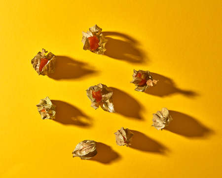 Flat lay view on a pattern with yellow physalis fruit with shadows on a yellow background