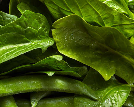Close-up organic fresh green vegetables background. The green spinach ang peas for cooking a...