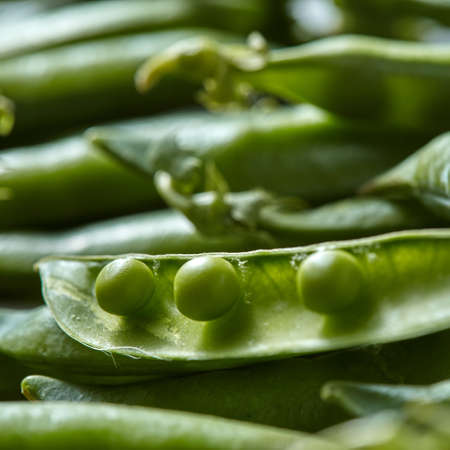 Natural organic background with pods of peas and green beans with soft focus. Concept of fresh...