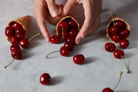 Female hands hold wafer cup with red sweet berries cherry on a gray stone background.の写真素材