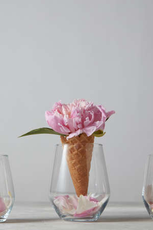 Creative card of beautiful pink flower, bud with petals in glass vase on gray stone beautiful.の写真素材