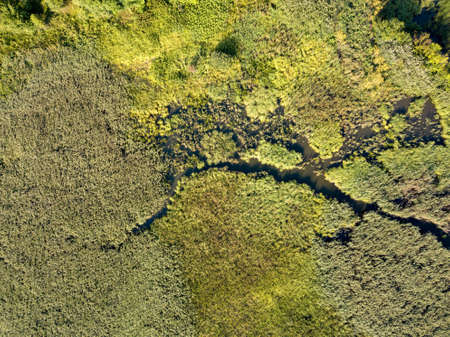 Panoramic view from the drone, aerial photography of landscape with greenery of forests, fields and...