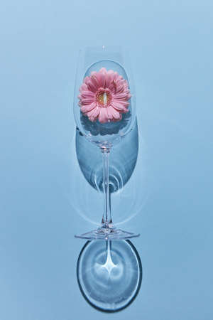 Glass of wine and pink gerbera on a blue background. Holiday postcardの写真素材