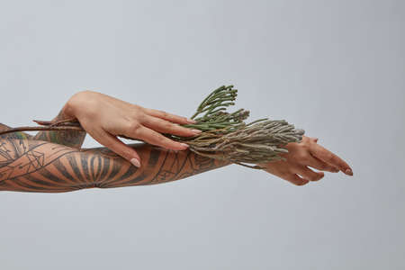 Woman hands with tatoo holding branch of flowers on a gray background with place for text.の写真素材