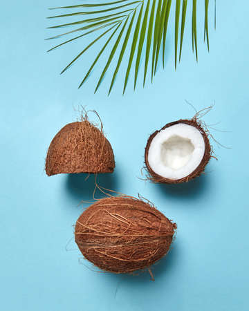 Halves and whole tropical nut with palm leaf in the form of a face with a closed eye on a blue...