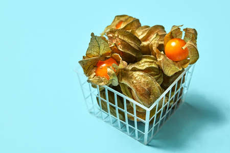 Ripe berries of physalis with dry leaves in a plastic basket on a blue background with space for...