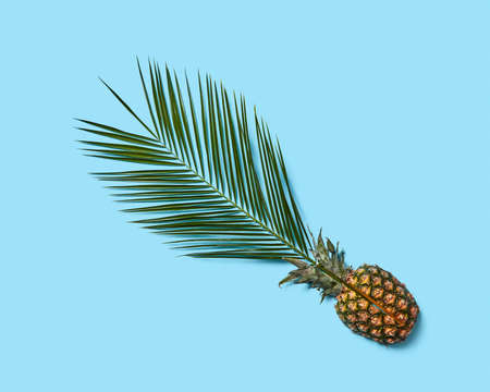 Composition from juicy half of pineapple and green palm leaf on